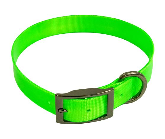 Fire Flex Dog Collar