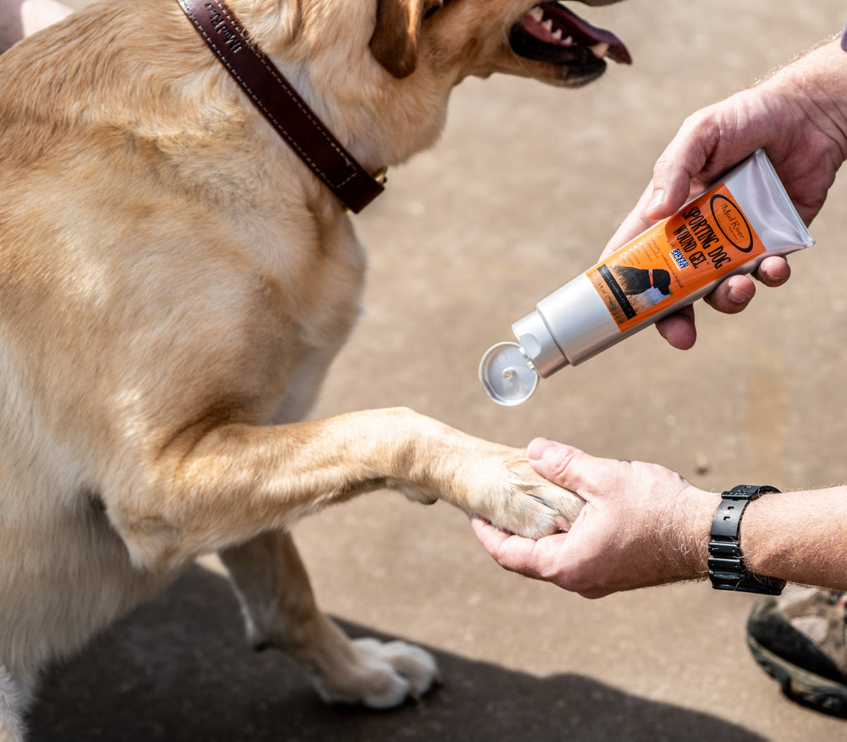 Mud River Sporting Dog Wound Gel