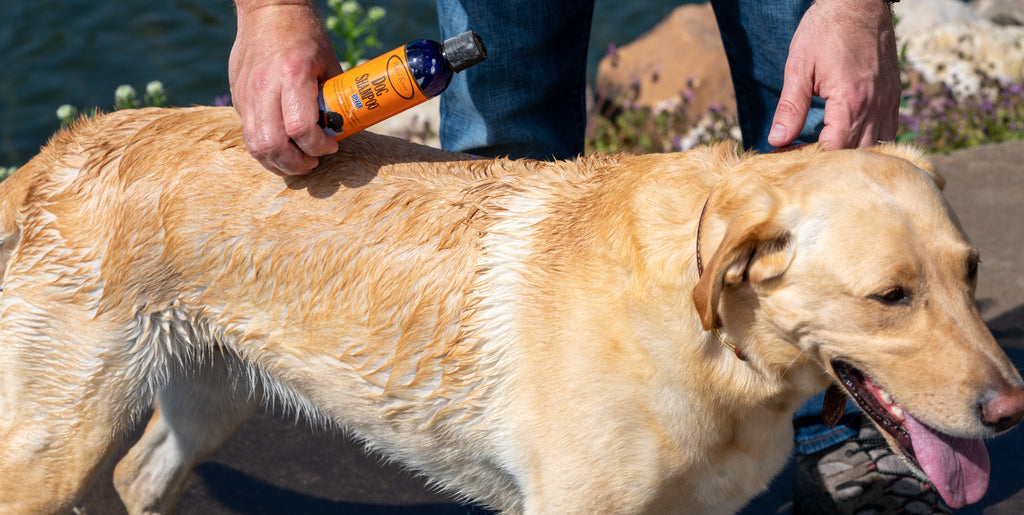 Mud River Silver Scent Dog Shampoo